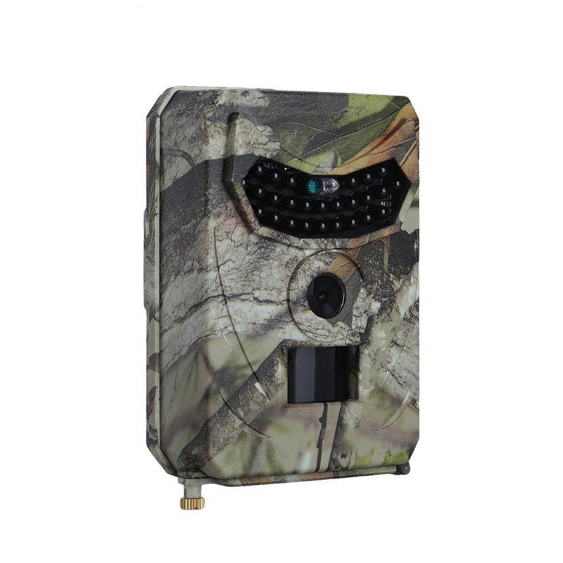 Best Hunting Trail Camera 2025