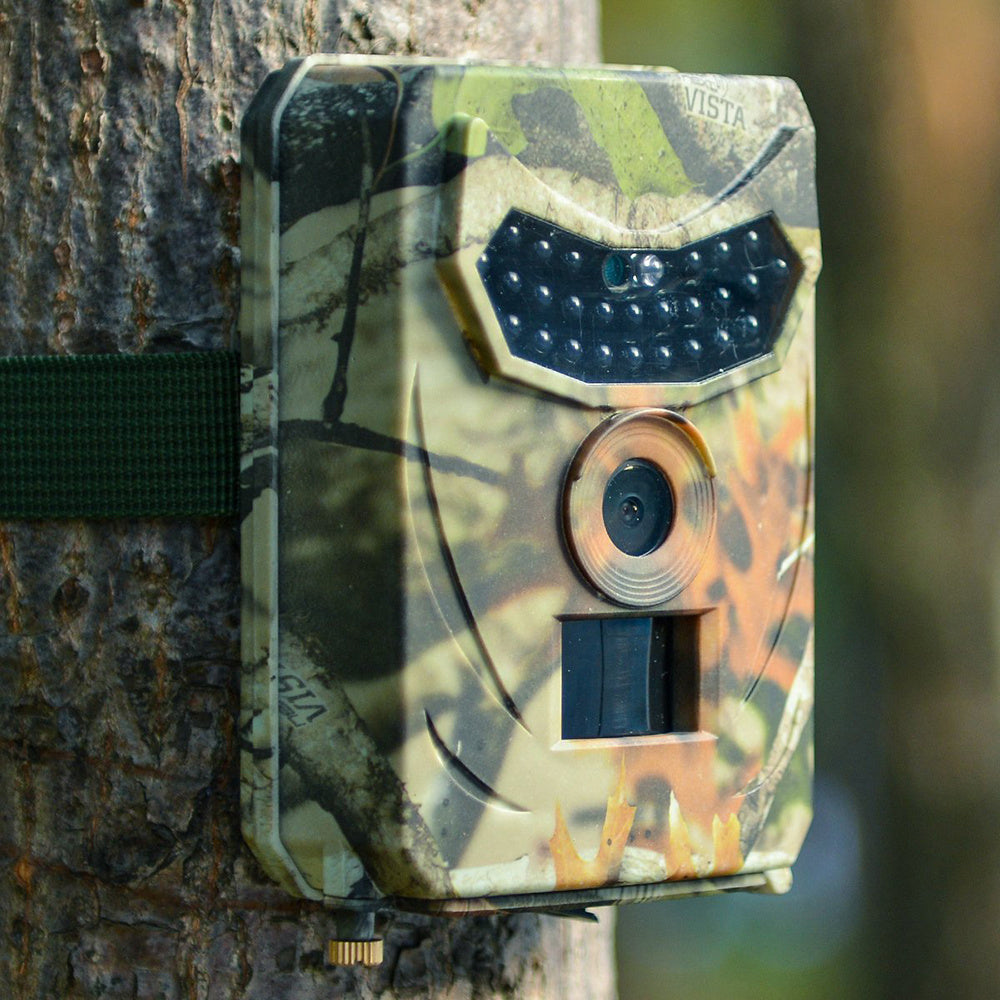 Best Hunting Trail Camera 2025